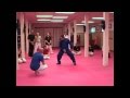 Splitting In Chen Style Taijiquan Practical Method