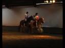 Trailer Troje Hartenhoeve