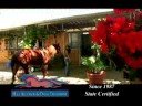 Three Hills Ranch Alcohol & Drug Recovery