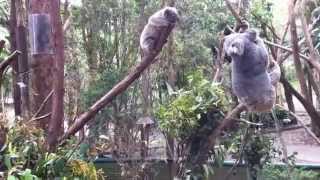 Bridging The Gap