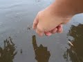 HALLANDALE is flooded (Miami) HALLANDALE is flooded (Miami)