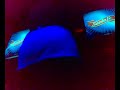 cumple de lucia streap tease hot mujeres bailando promotoras