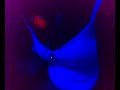 cumple de lucia streap tease hot mujeres bailando promotoras