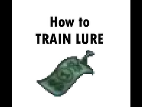 how to train lure
