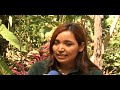 REPORTAJE ALEX NOLASCO CAFE Y MIEL DE TECAPA