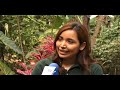 REPORTAJE ALEX NOLASCO CAFE Y MIEL DE TECAPA