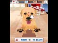 Dogz 3D (J2ME) Dogz 3D (J2ME)