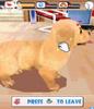 Dogz 3D (J2ME)