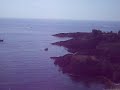 saint-tropez