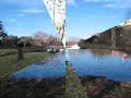 Fern Bluff Greenbelt - OakBrook Fern Bluff Greenbelt - OakBrook