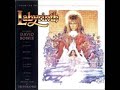 Full version by Trevor Jones from the Labyrinth soundtrack cd, could have been featured in the film. Great song, high quality.