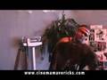 Mr. Fitness - Fitness Blog of Video