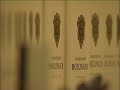 Bollinger film