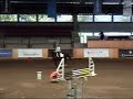 Mini Horse Jumping Camy y Daria
