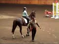 Mini Horse Jumping Camy y Daria Mini Horse Jumping Camy y Daria