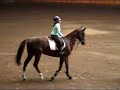 Mini Horse Jumping Camy y Daria