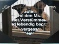 HUNDE- MASSENMORD FüR FUSSBALLSPORT