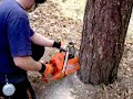 Felling at Centre Parc (Sherwood Pines) Felling at Centre Parc (Sherwood Pines)