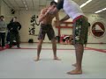 Geard mousasi x Augusto Ferrari
