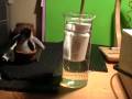 Buoyancy Demonstration #2