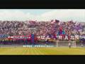 forza lupi rossoblu