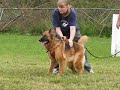 Fastforward Zambi protection video Fastforward Zambi protection video