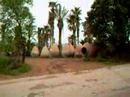 SIMON LEACH - Amphoras ! SIMON LEACH - Amphoras !