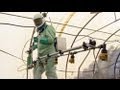 Monsanto found guilty of poisoning in pesticide case