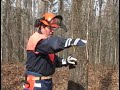 Cut a Tree Down Safely