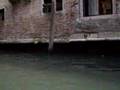 videos de En VeNeCia 2oo7