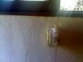videos de P1
