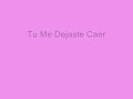 Tu me dejaste caer