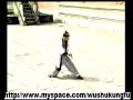 wudang tai chi