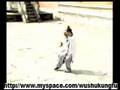 wudang tai chi