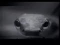 Hurt - Nine Inch Nails (sub español)