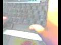 addictinggames--black sheep acres glitch