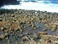 Secret West Maui Beach
