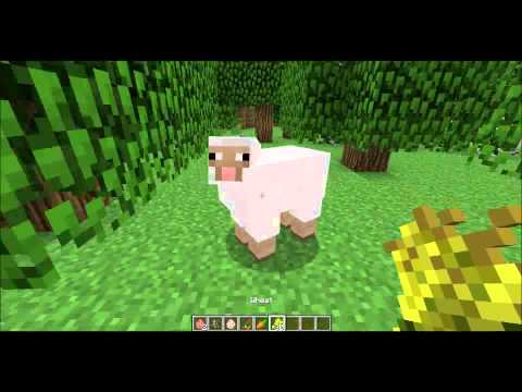 how to get pigs to follow u in minecraft