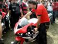 roque perez 08