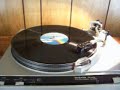 Rossington Collins Band- Tashauna (vinyl)