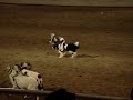 MOV06849