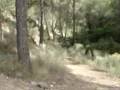DESCENSO EN CALZONES 2 EN MURCIA