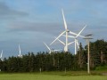 North Lake PEI Windmills