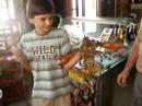 Filip and langust  crete