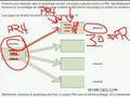 referencement et positionnement internet - pagerank