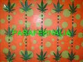 ER GROWSHOP MARX
