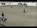 2008 APHA World Show - Amateur Junior HUS (Finals)