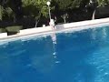 Piscina de Abla