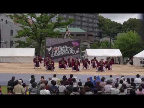 ウイング - 2013年5月19日 福岡県北九州市 黒埼よさこい祭り2013 曲里の松並木公園会場（メイン会場）