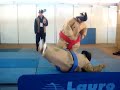 Elder VS Everton (sumofight)
